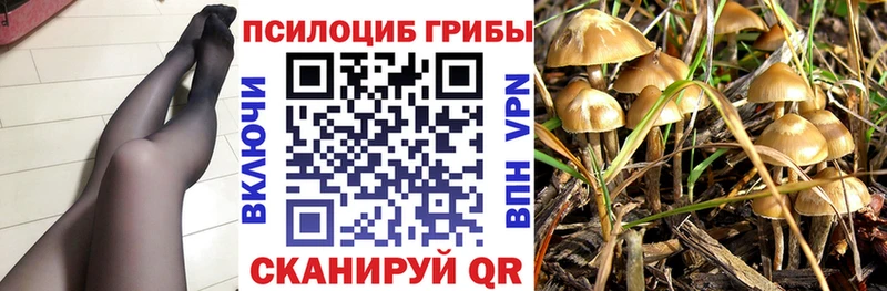 ссылка на мегу ССЫЛКА  Кумертау  Галлюциногенные грибы мухоморы  как найти  